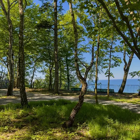 Lejlighed White House *